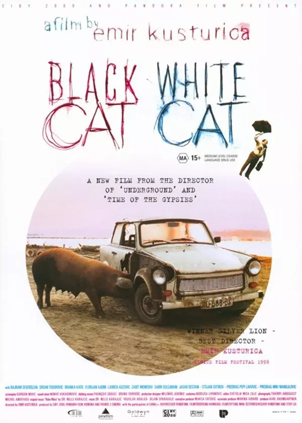 Black Cat, White Cat