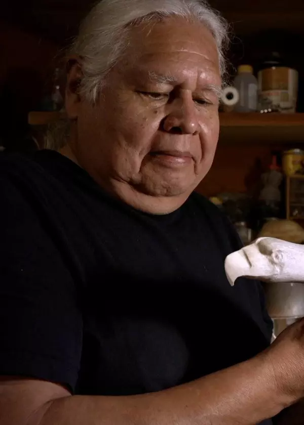 The Bear Inside a Whale