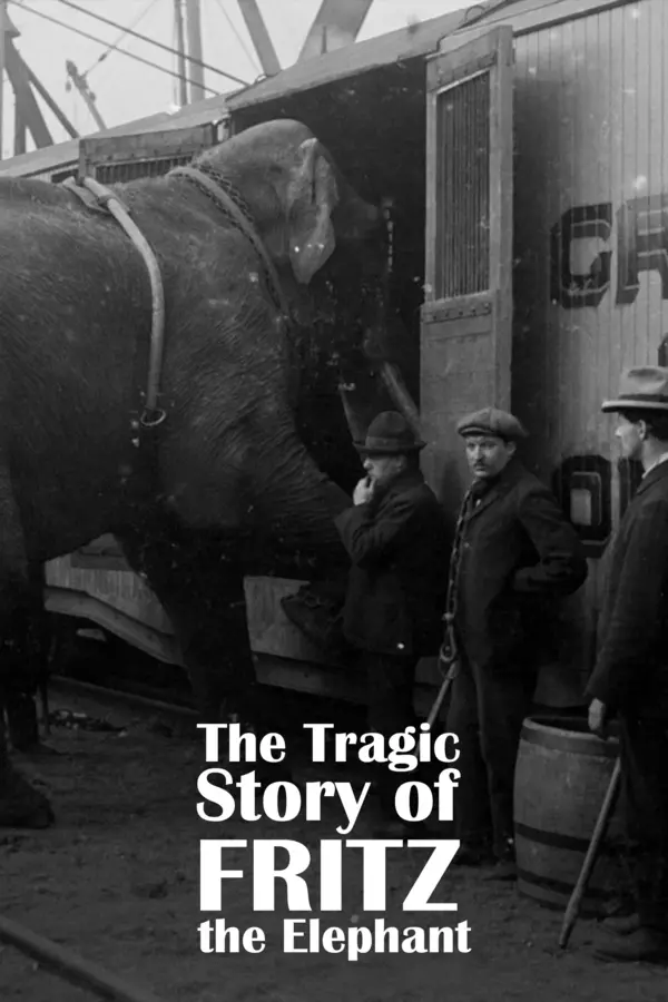 The Tragic Story of Fritz the Elephant
