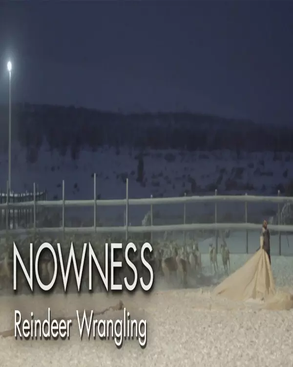 Untold Odyssey: Reindeer Wrangling