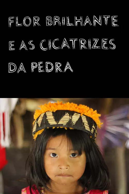 Flor Brilhante e as Cicatrizes da Pedra