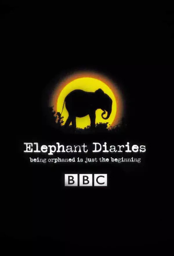 Elephant Diaries