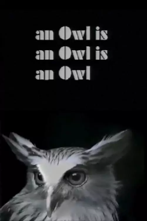 An Owl Is an Owl Is an Owl