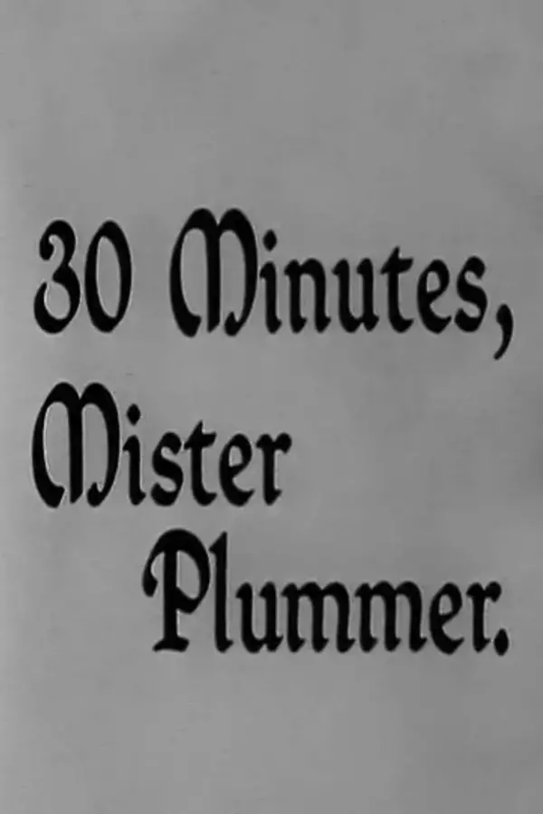 30 Minutes, Mister Plummer