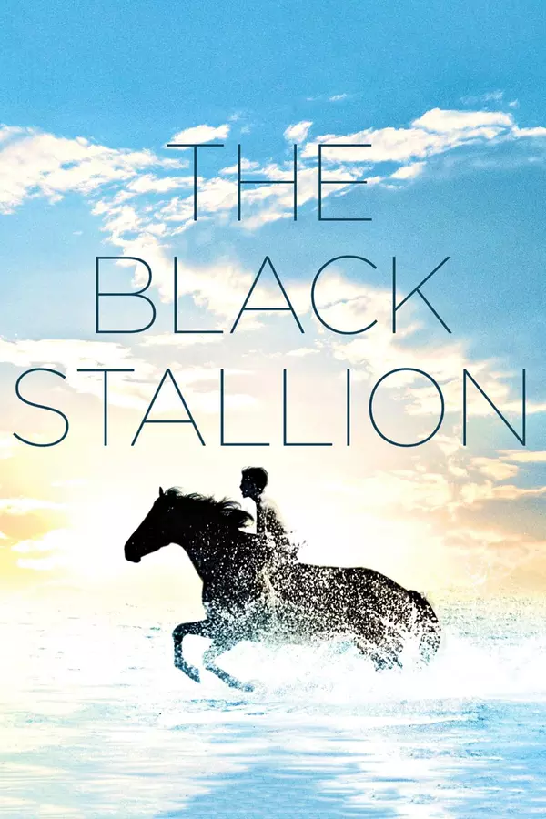 The Black Stallion