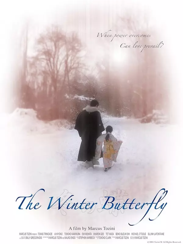 The Winter Butterfly