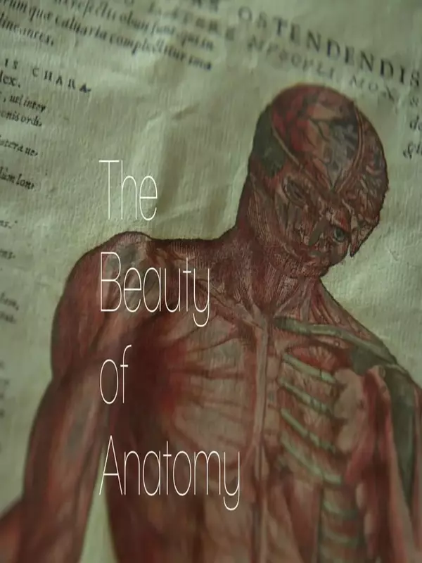 The Beauty of Anatomy