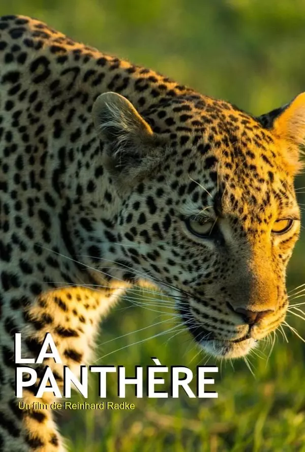 The Leopardess