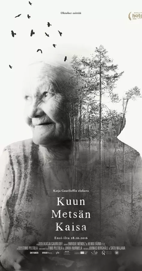 Kaisa's Enchanted Forest