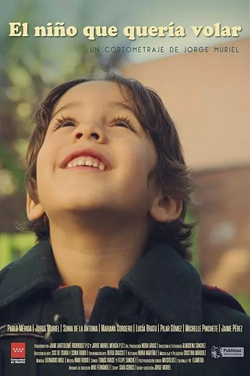 The Boy Who Wanted to Fly