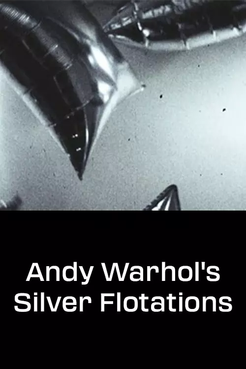 Andy Warhol's Silver Flotations