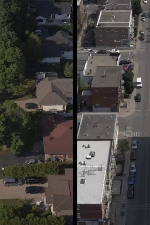 Neighbors in My Backyard