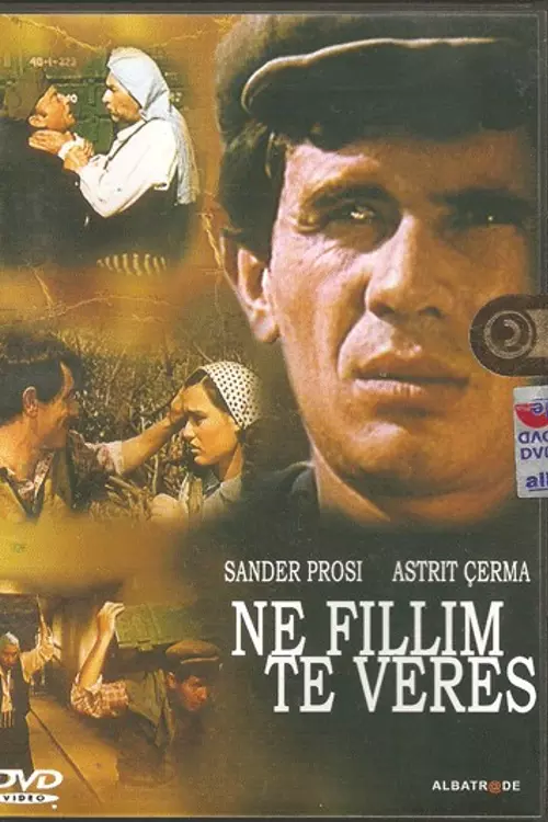 At the Beginning of Summer