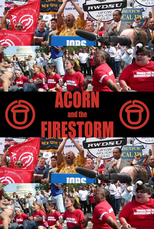 Acorn and the Firestorm