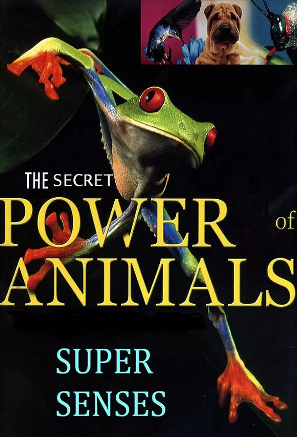 Super Senses: The Secret Power of Animals