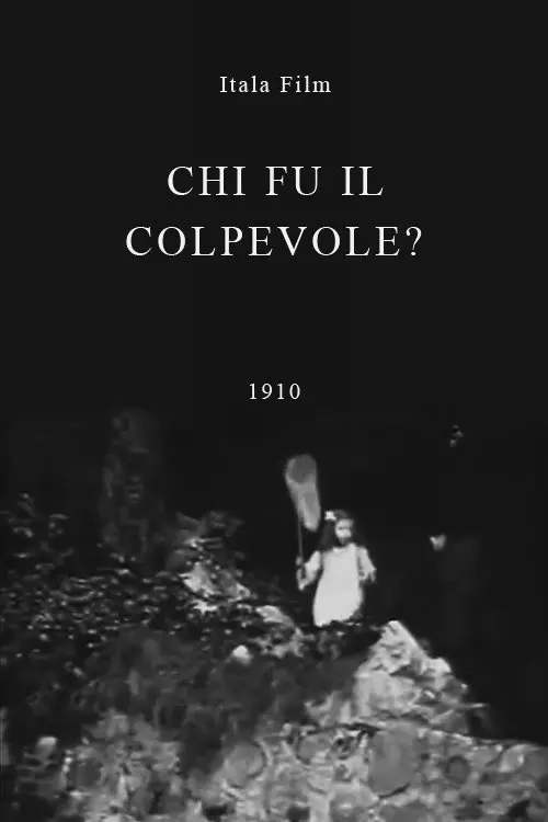 Who Was the Culprit?