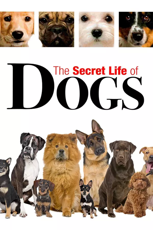 The Secret Life of Dogs